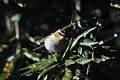 01 01 00_2776_edited-1